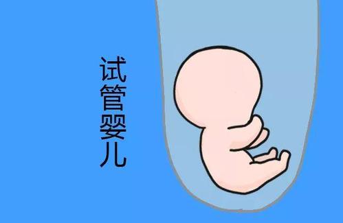爱心拉拉代怀咨询怎么选